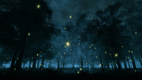 Fireflies in the night forest