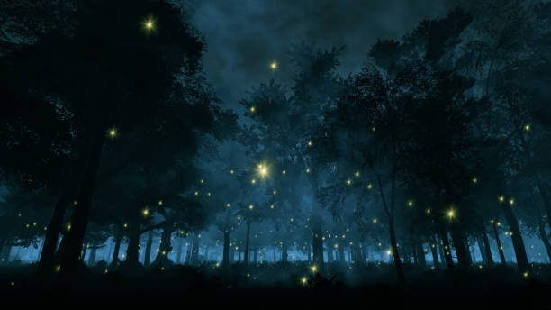 Fireflies in the night forest Fireflies in the night forest glowworm photos stock pictures, royalty-free photos & images