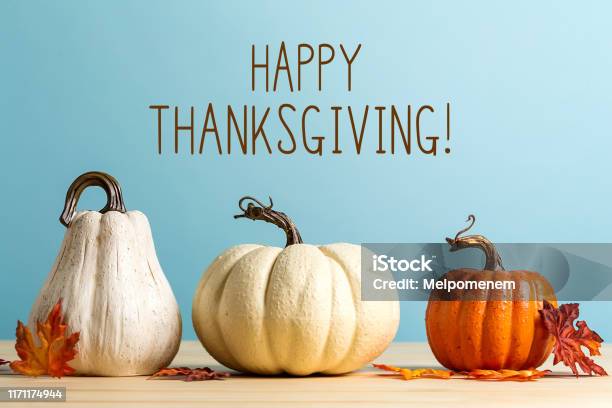 Thanksgiving Message With Pumpkins Stock Photo - Download Image Now - Thanksgiving - Holiday, Pumpkin, Blue