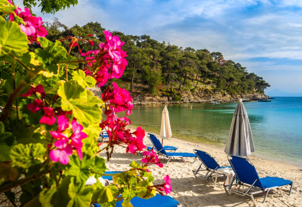 istock Aliki beach at Thassos islands 1171178616