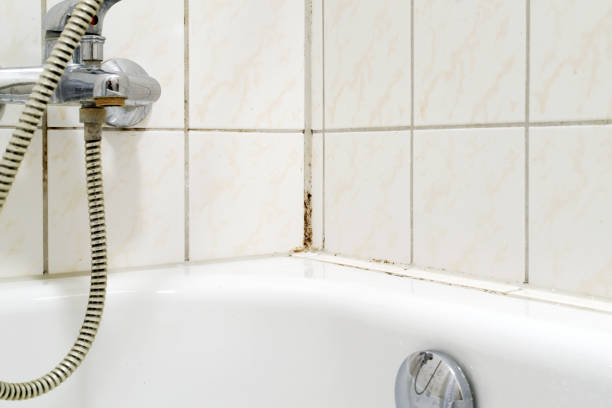 molde en un baño - duchas de esquina fotografías e imágenes de stock