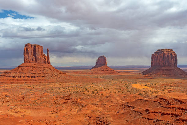 istock Lonely Sentinels in the Desert 1171179915