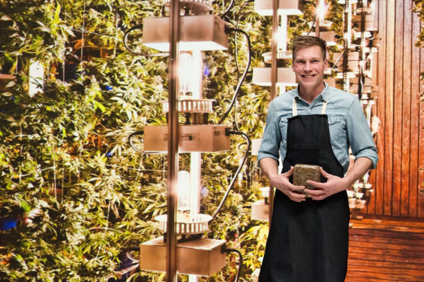 istock Man working in a marijuana shop and is holding weed 1171180960