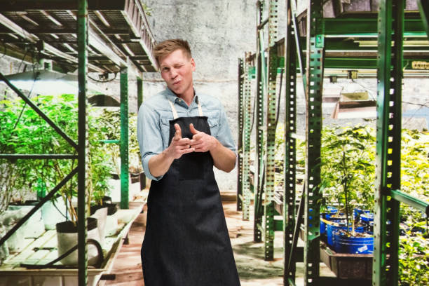 istock Marijuana shop - Male worker is doing finger gun 1171182295