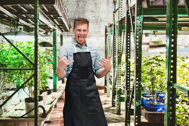 istock Marijuana shop - Male worker is doing shaka sign 1171182447