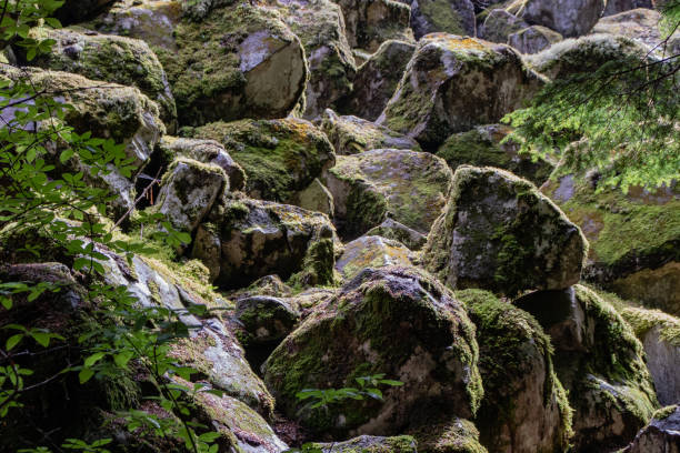 istock Unique rocks with moss near Brandywine falls 1171182469