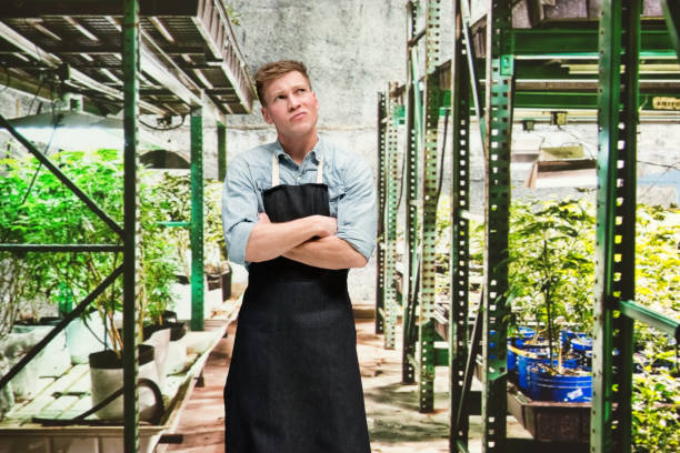 istock Marijuana shop - Male worker is thinking 1171182710