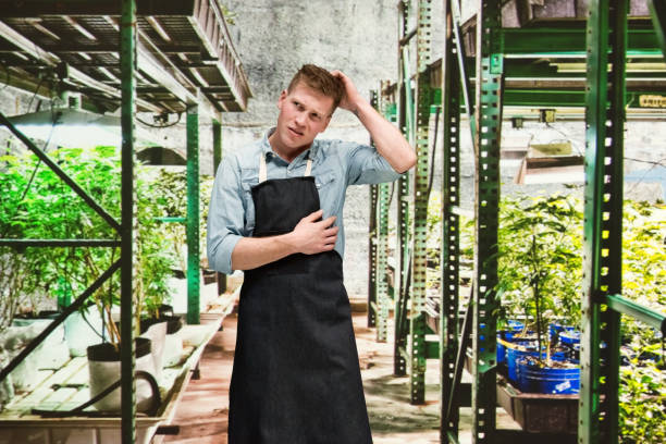 istock Marijuana shop - Male worker is confused 1171182712