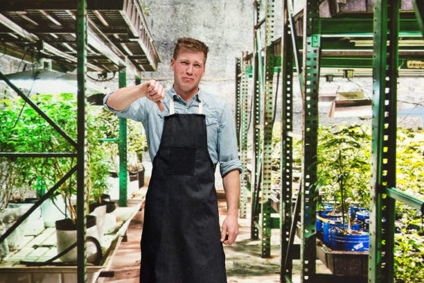 istock Marijuana shop - Male worker is doing thumbs down 1171183303