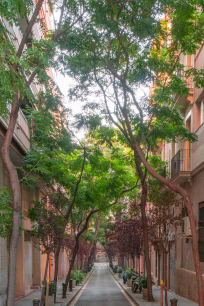 istock Beautiful alley in Barcelona 1171183319