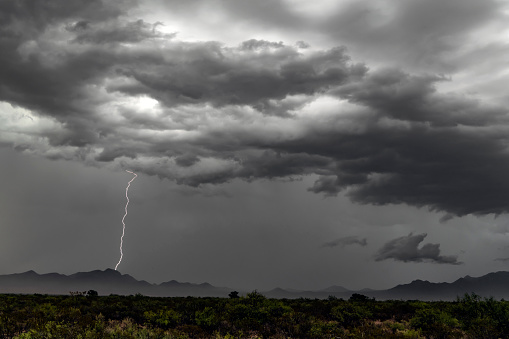 Lightning bolt from a summer thunderstorm, southeast Arizona.