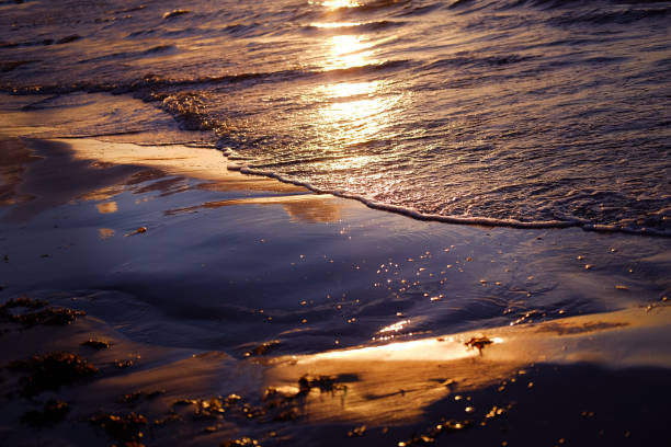 istock Reflection of sunset in seashore with warm golden light, clouds and bright blue sky 1171185069