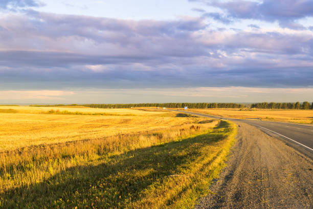 istock Empty autumn road in golden wheat field 1171187877