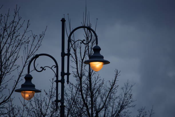 istock Street light against twilight background 1171190702