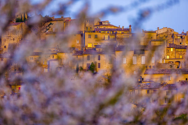 Cherry orchard and town of Bonnieux at sunset in Provence, France