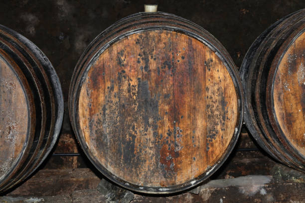 istock Rows of oak wood wine barrels in winery cellar 1171191475