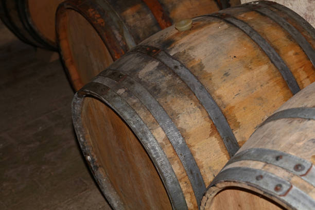 istock Rows of oak wood wine barrels in winery cellar 1171191852