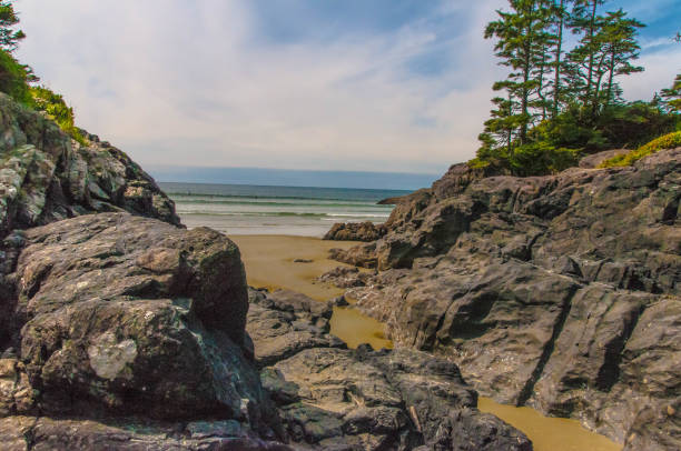 istock West Coast Vancouver Island 1171194039