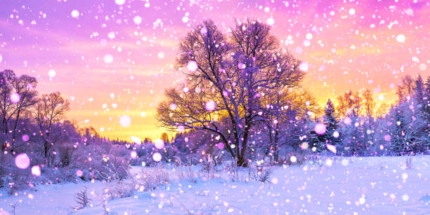 istock winter panorama landscape with forest, trees covered snow and sunrise. 1171195511