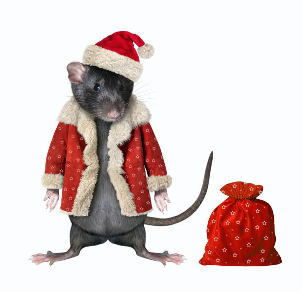 istock Rat with a sack of gifts 1171196606