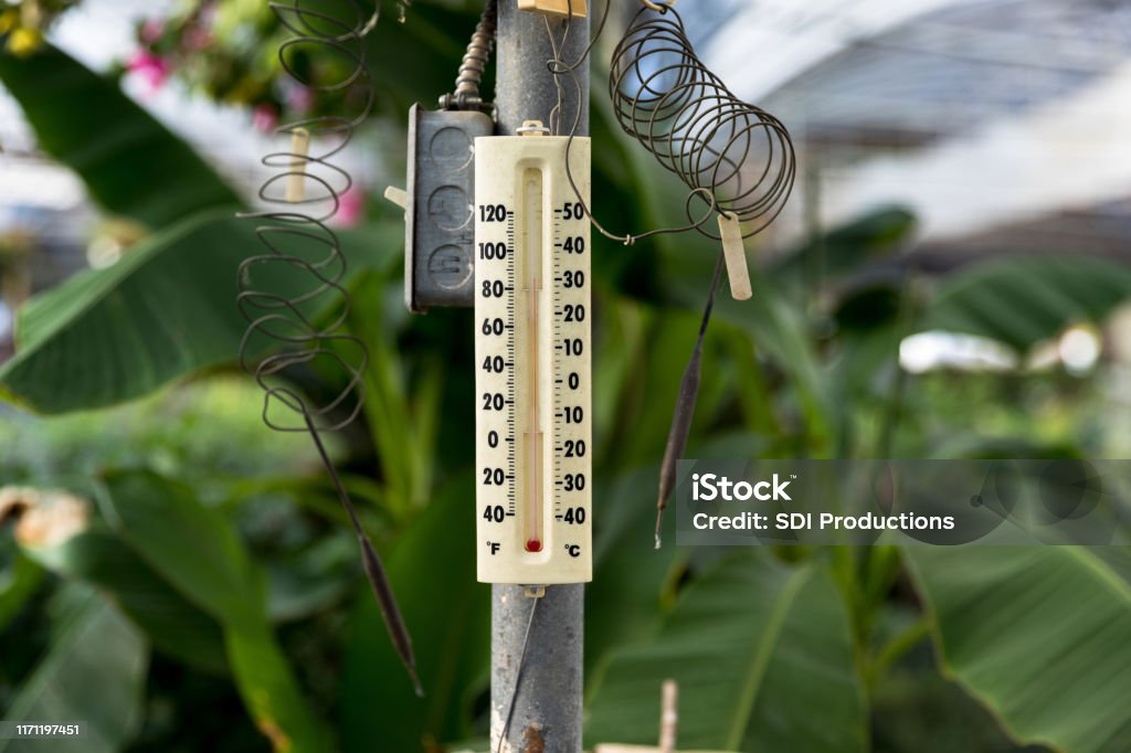 Thermometer For Maintaining Correct Temperatures For Tropical