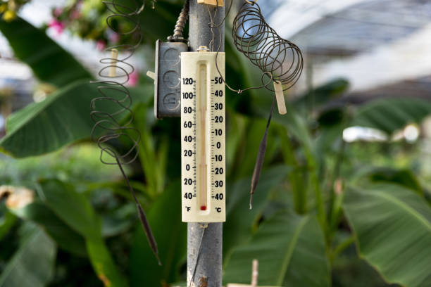 https://media.istockphoto.com/id/1171197451/photo/thermometer-for-maintaining-correct-temperatures-for-tropical-plants.jpg?s=612x612&w=0&k=20&c=rfZ0lCSbUfoFdRaLbI4cbGT7xM46me-Pd8ZRw_3pE5w=