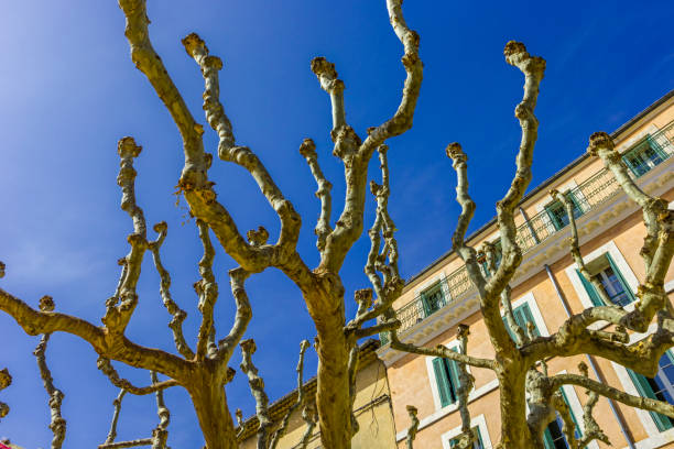 French region of Provence