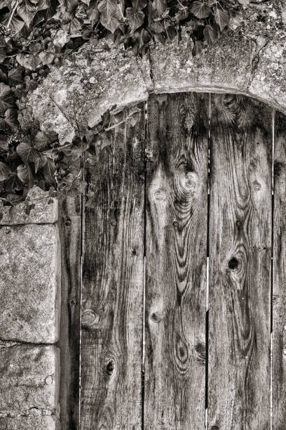 istock French region of Provence 1171202182