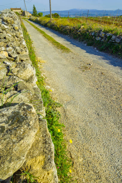 istock French region of Provence 1171202226