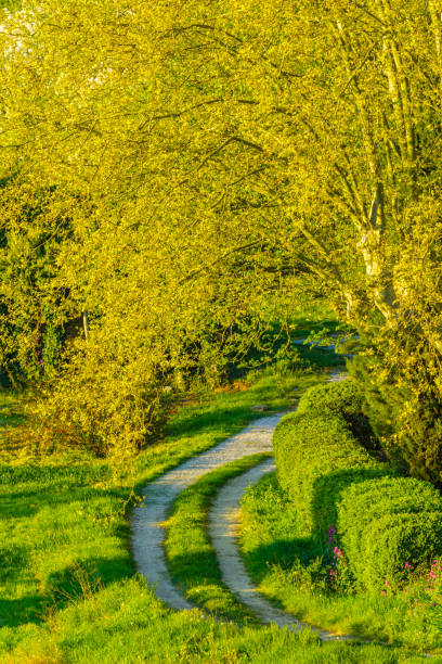 istock French region of Provence 1171202546