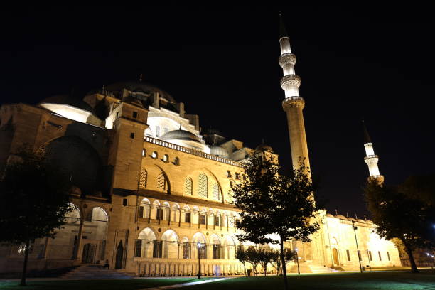 istock historicalmosque night istanbul turkey 1171208405