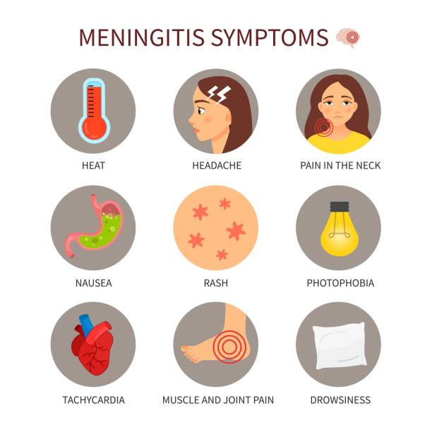 ilustrações, clipart, desenhos animados e ícones de meningite médica do poster do vetor. - meningite
