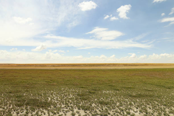 istock dried soil, drought and thirst. earth and sky 1171215963