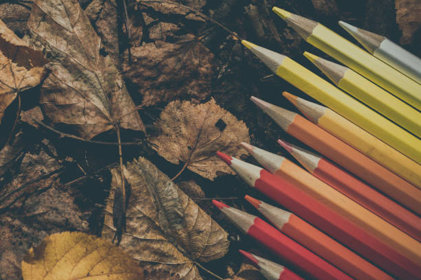 Palette yellow-red pencils on autumn leaves