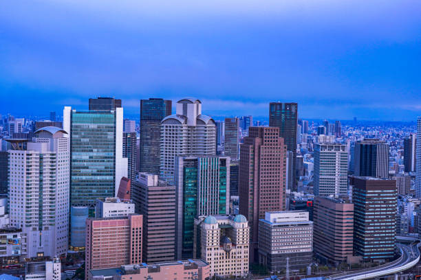 istock Osaka city skyline at night 1171220493
