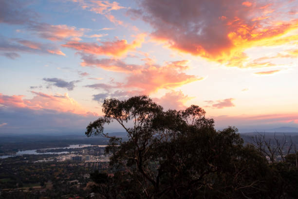 istock Late afternoon view from Mount Ainslie Lookout, Australia 1171222410