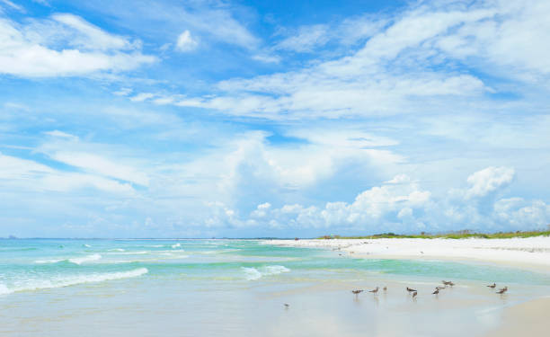 panorama von einemschönen weißen sand florida beach und bewölkten himmel - pensacola stock-fotos und bilder