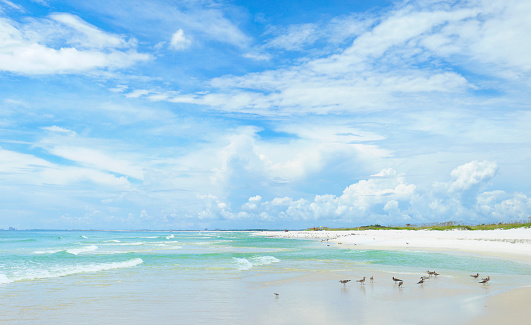 Panorama of the Beautiful White Sand Beach of the Florida Gulf Coast on a Cloudy Day