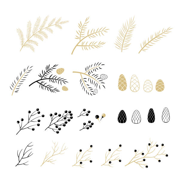 Set of Christmas elements for typographic design Leaves, branches, berries in black and gold colour scheme christmas pine cone frame branch stock illustrations
