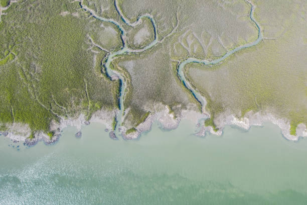 湿地の空中ドローン写真 - south carolina 写真 ストックフォトと画像