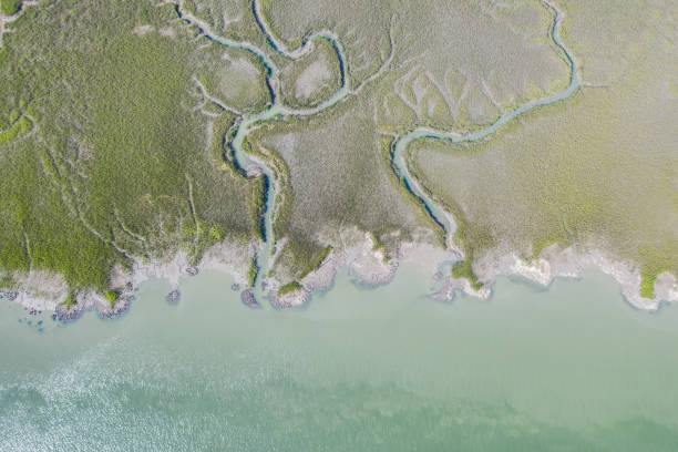 Aerial drone photograph of marsh Aerial drone photograph of marsh in Port Royal, South Carolina marsh photos stock pictures, royalty-free photos & images