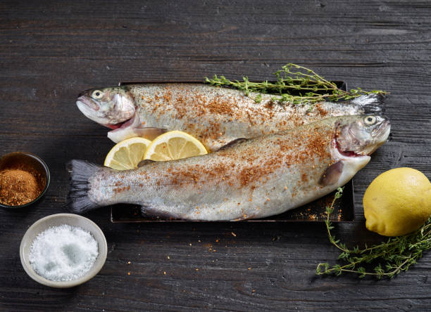 istock fresh raw trout fishes 1171236094