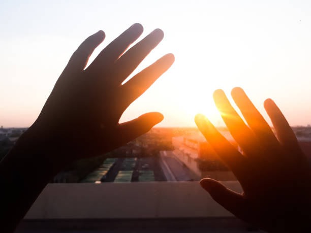 istock Beautiful sunset, silhouette touch the sun 1171240562