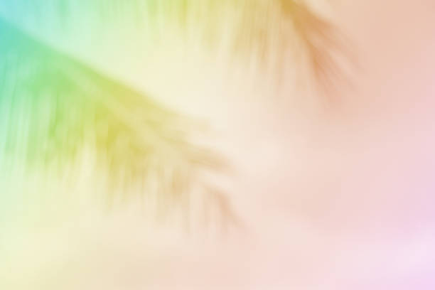 istock Soft blurred tropical palm leaf with a pastel color background. 1171246039