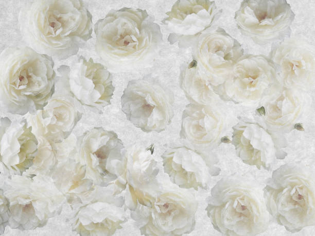 istock Beautiful rose lower background designed for card. 1171247274