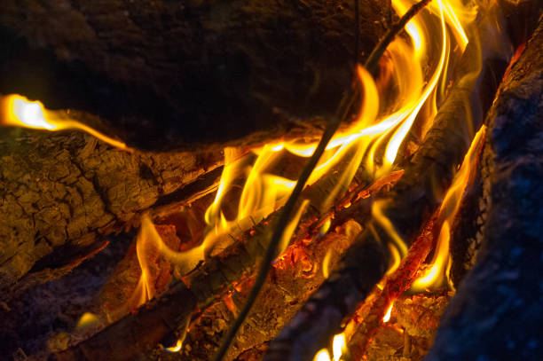 istock Fire in its most common form can lead to a fire that can cause physical damage when burning. Fire is an important process that affects environmental systems around the world. 1171249766