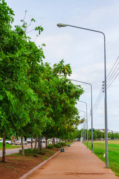 istock concrete footpath for people walk and exercise near lake 1171250899