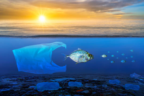 рыба, которая приближается к смерти, плавающие на поверхности, воздействие пластиковых отходов в море концепции сохранения природы и моря - animal planet sea life стоковые фото и изображения