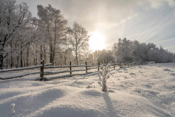 istock winter landscape during heavy snowfall 1171254491