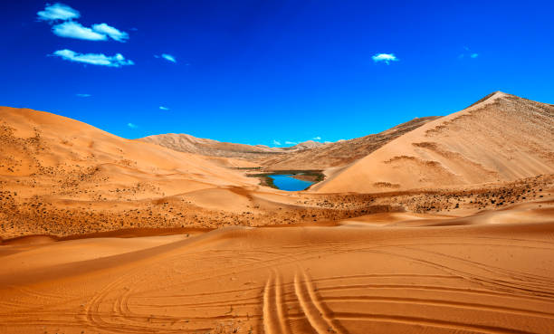 istock A Distant Oasis in the Badain Jaran Desert 1171258202